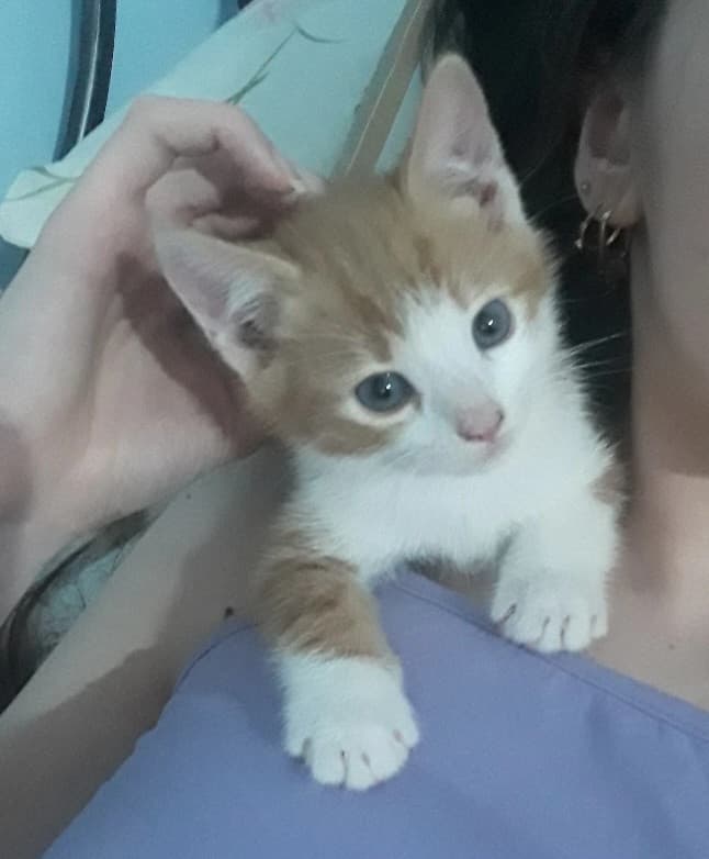 🧡