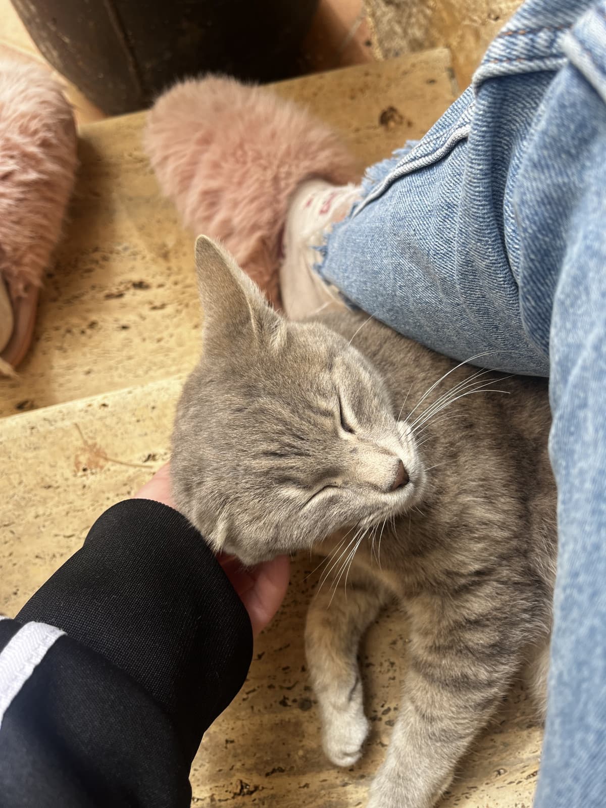 la mia principessa
