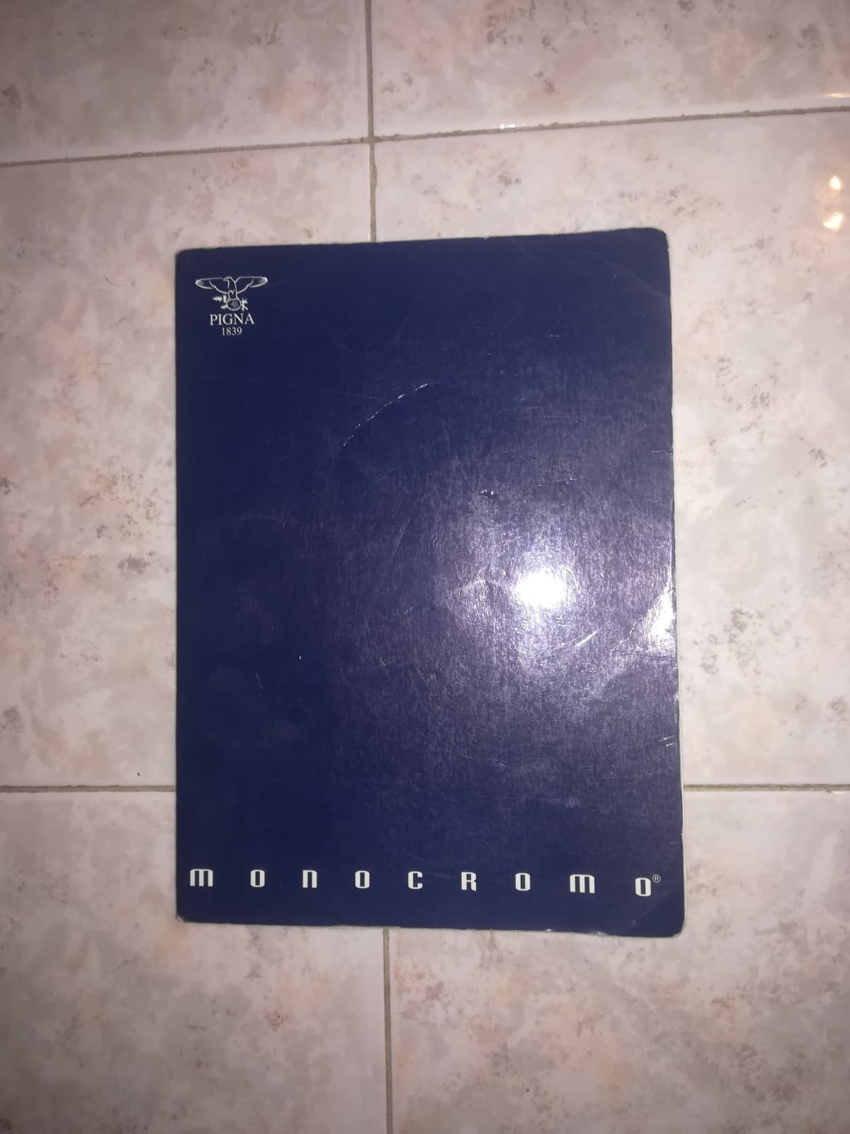 Il mio miglire amico