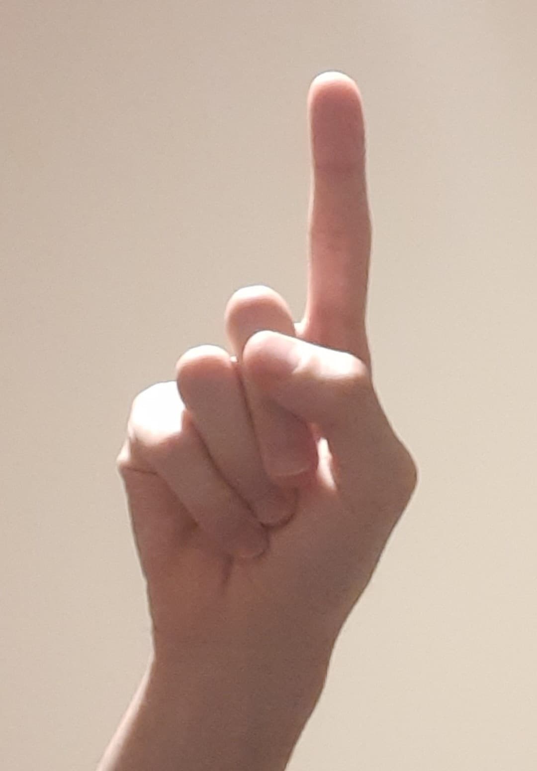 Raga, mi sto venendo paura. Davvero c'è gente che difende la donna che ha UCCISO lo scippatore?