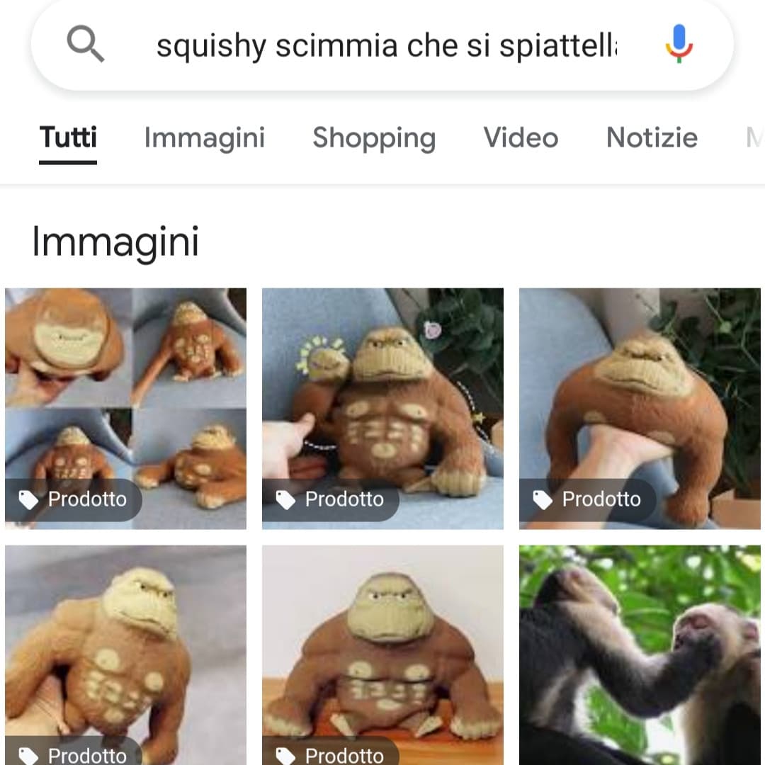Tralasciando la mia ricerca per trovare sta scimmia AHAHAH, secondo voi sarebbe carino da regalare a mia sorella? Perché lei adora le scimmie, solo che ho paura che sto coso a forza di spiattellarlo si riempia di polvere