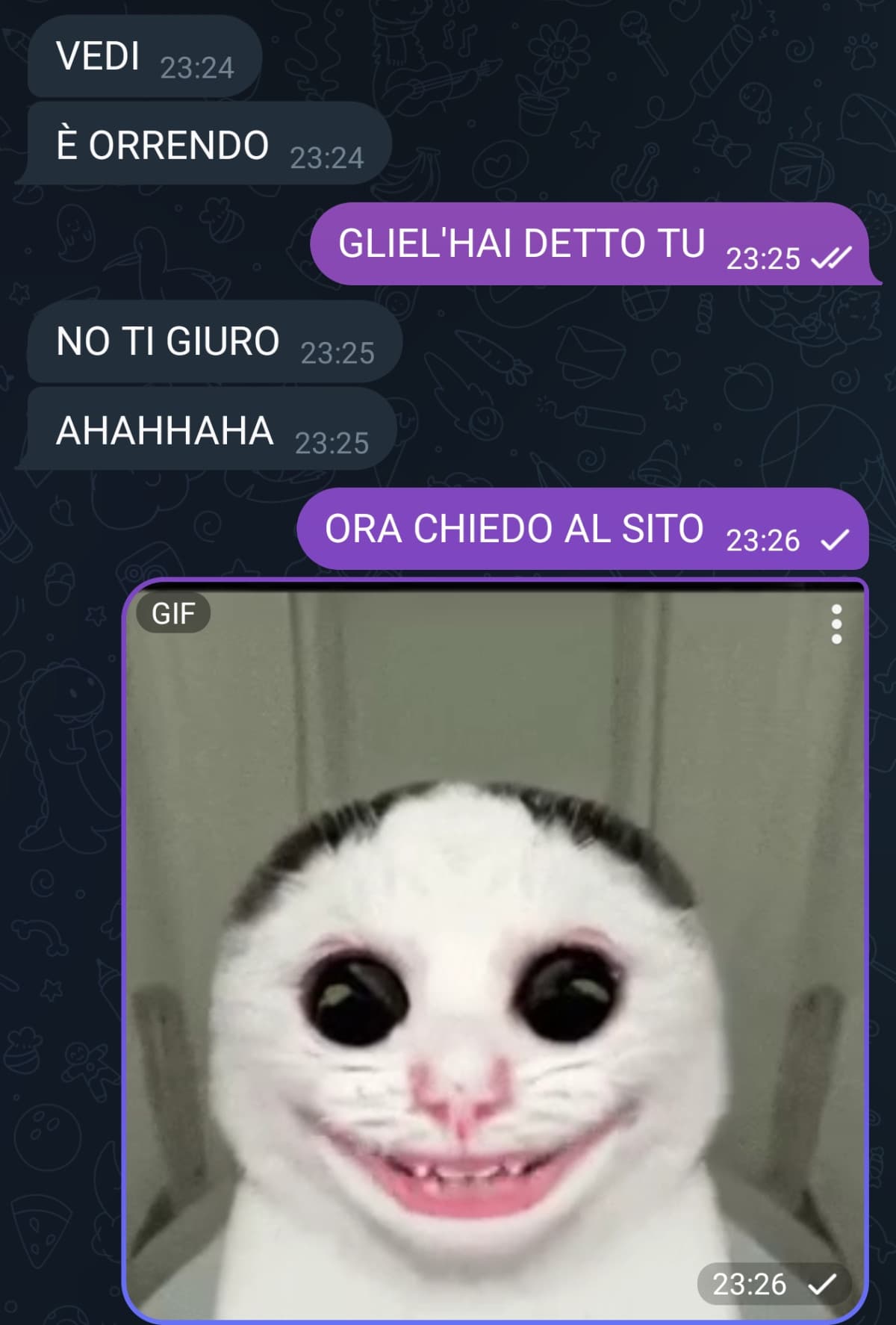 Ma scusatemi domanda seria, è brutto il micio??