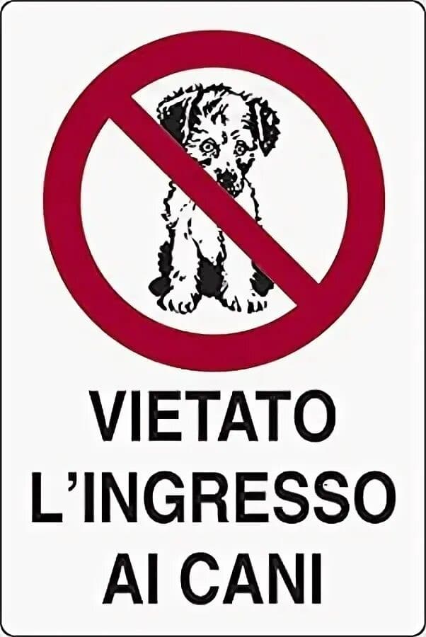 🚫