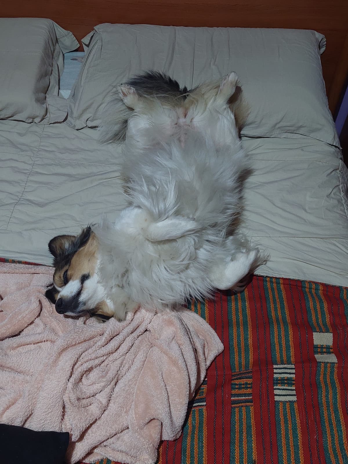 Mi spiegare come posso dormire con lei così?