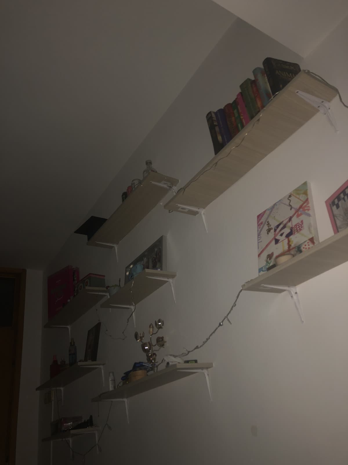 Raga sono curiosa di sapere come mi immaginate potete dirmi?