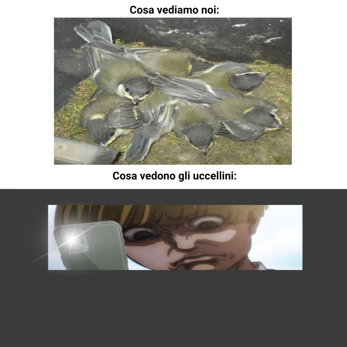 Visto che è da giorni che io e mia mamma citiamo questo meme, ho voluto condividerlo con voi