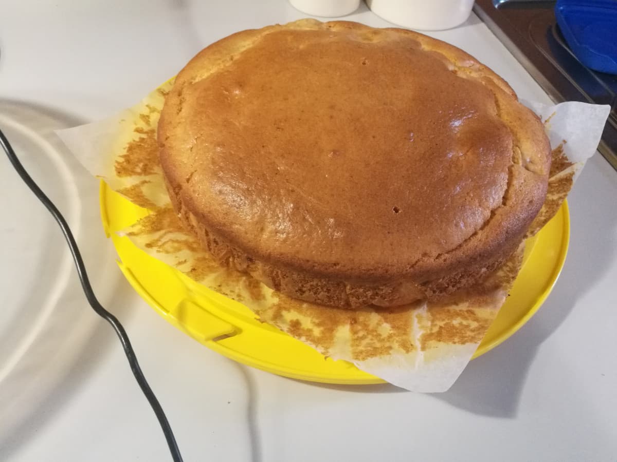 Comq questa è la torta di albicocche😋