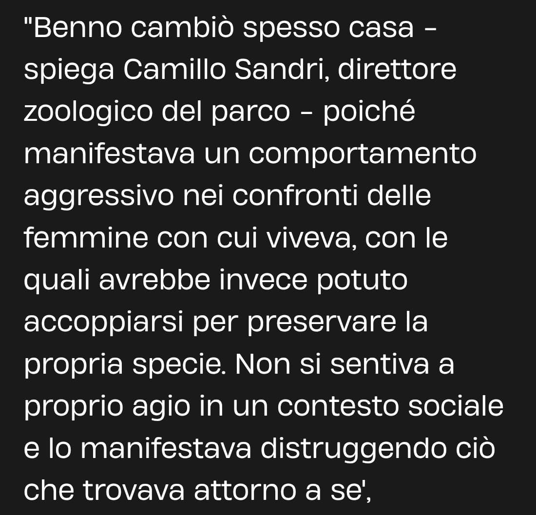 Benno non era un rinoceronte: era un utente di Insegreto
