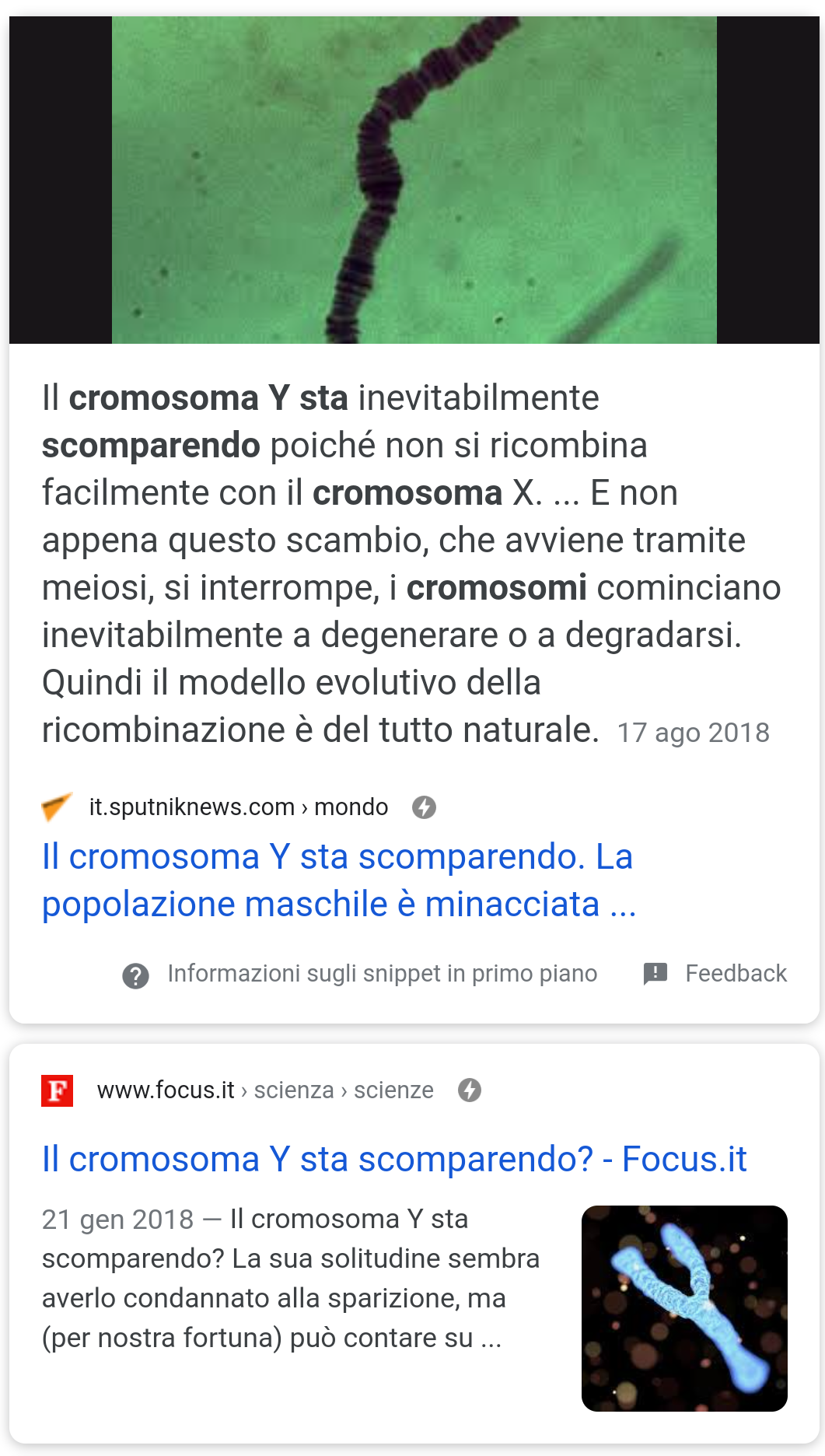 Ho scritto un segreto sul Cromosoma Y (maschile) che sta scomparendo, quindi gli uomini prima o poi si estingueranno, ed alcuni uomini si sono offesi... anyways... sono un ragazzo e non vedo l'ora che succeda?✋